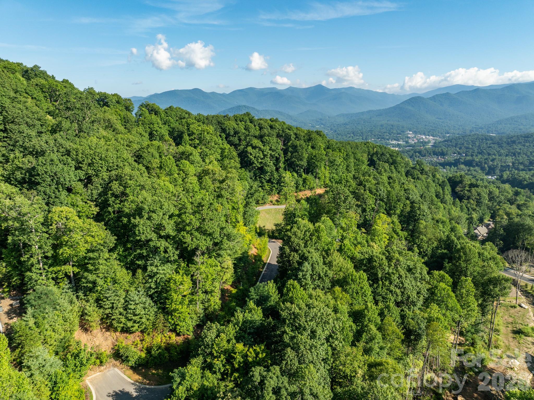 View of lot and cul-de-sac - 59 Old Greybeard Loop, Black Mountain