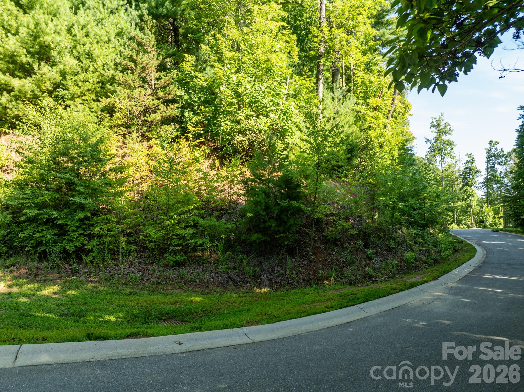 View of lot and cul-de-sac - 59 Old Greybeard Loop, Black Mountain