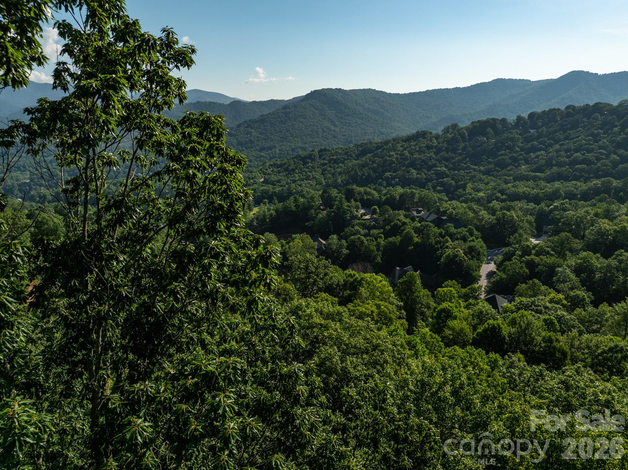 Potential view - 59 Old Greybeard Loop, Black Mountain