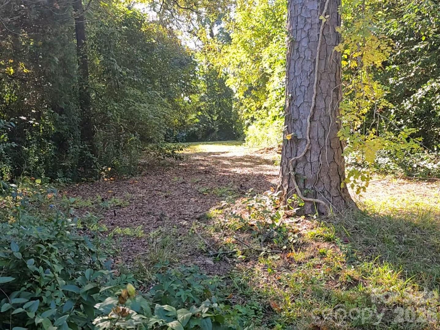 Lot at 4210 Dinglewood Avenue, Charlotte, photo 3 of 3