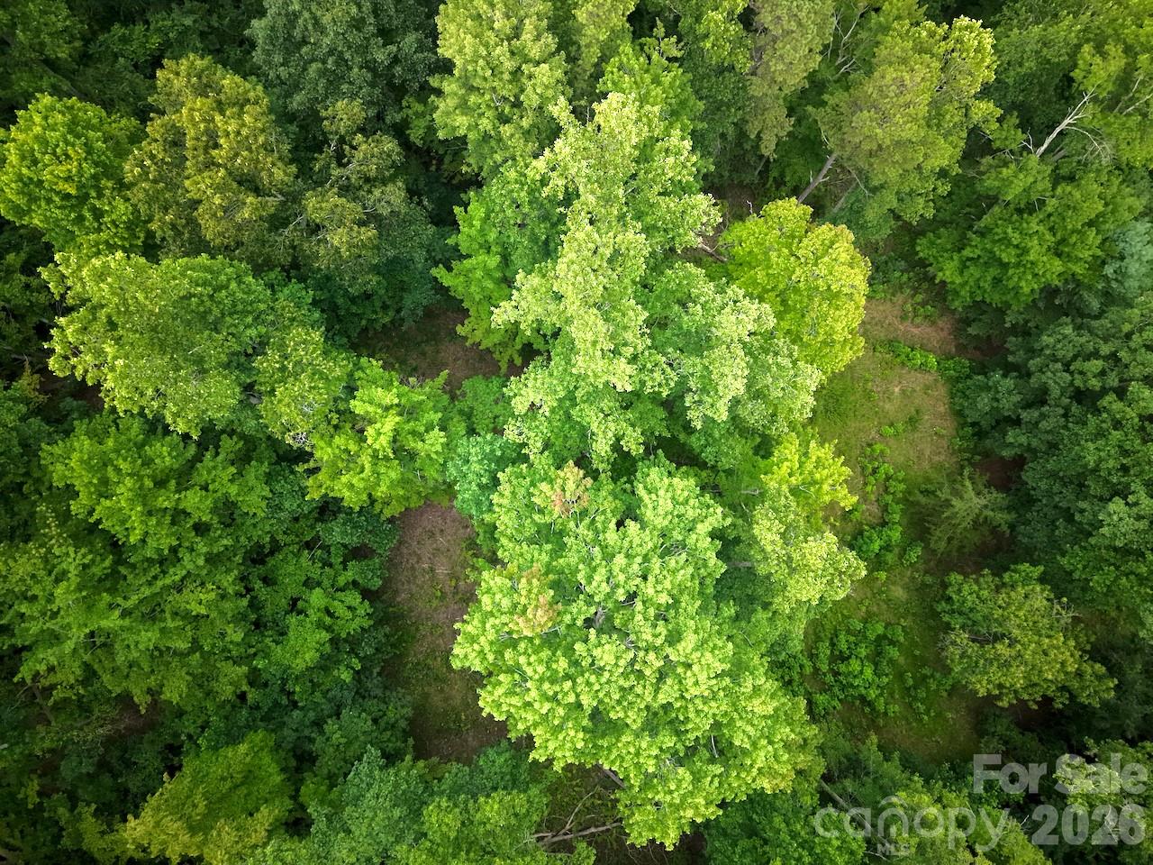 Overhead view of lot with the same orientation as the GIS image - 120 Ben Lippen School Road, Asheville