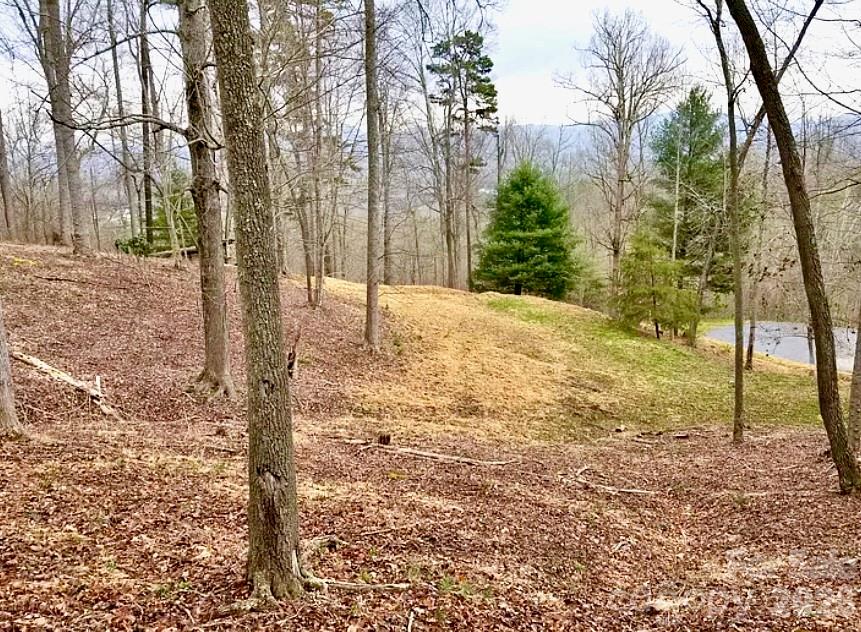 Old picture from when the lot was first cleared showing how open it can be again. - 120 Ben Lippen School Road, Asheville