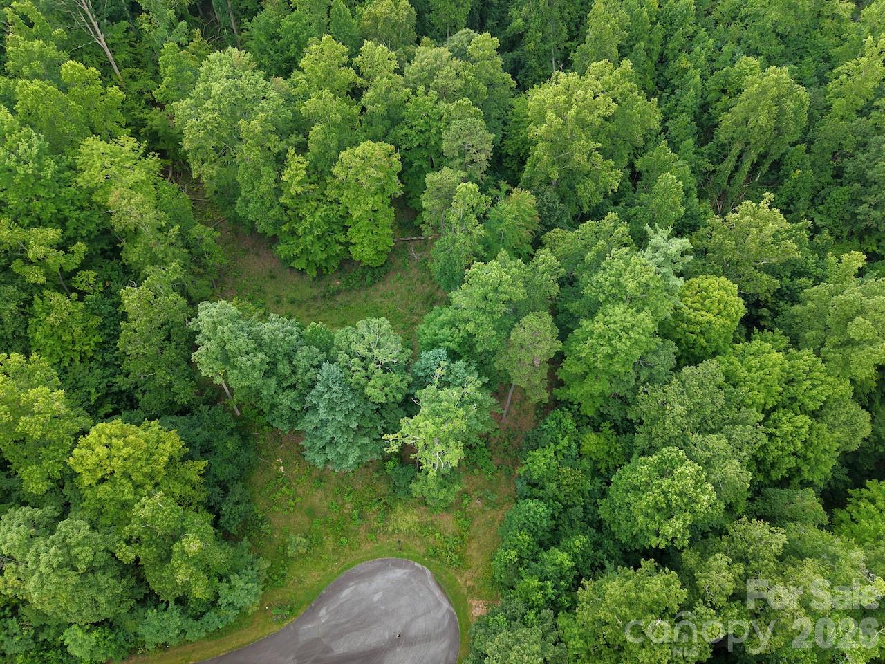 Overhead view of lot - 120 Ben Lippen School Road, Asheville