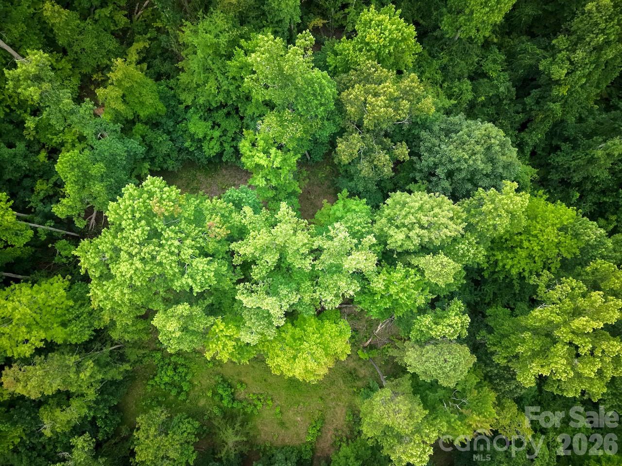 Overhead view of lot - 120 Ben Lippen School Road, Asheville