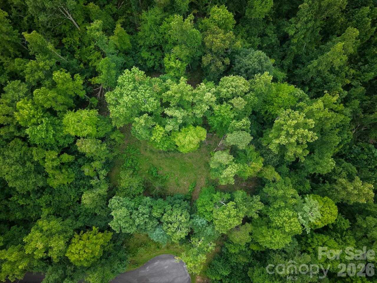 Overhead view of lot - 120 Ben Lippen School Road, Asheville