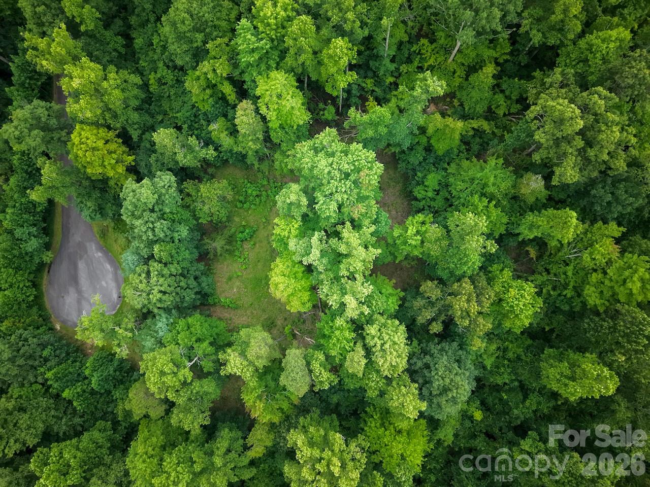 Overhead view of lot - 120 Ben Lippen School Road, Asheville
