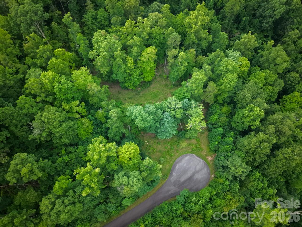 Overhead view of lot - 120 Ben Lippen School Road, Asheville