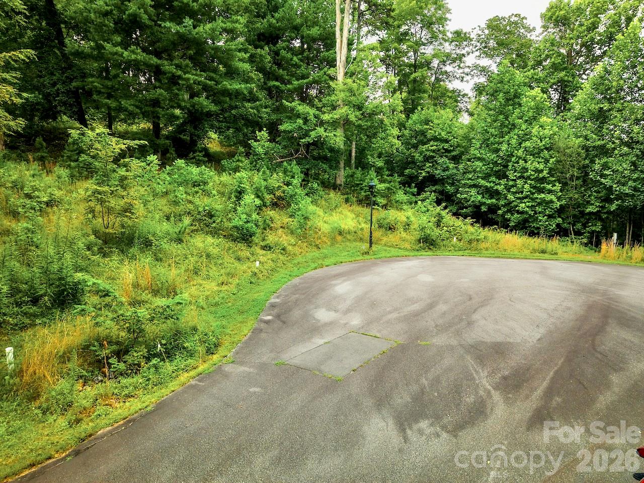 View from cul-de-sac - 120 Ben Lippen School Road, Asheville