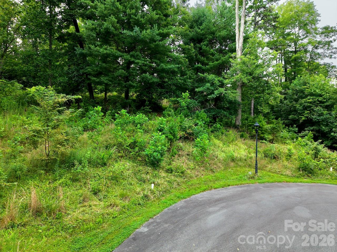 View from cul-de-sac - 120 Ben Lippen School Road, Asheville