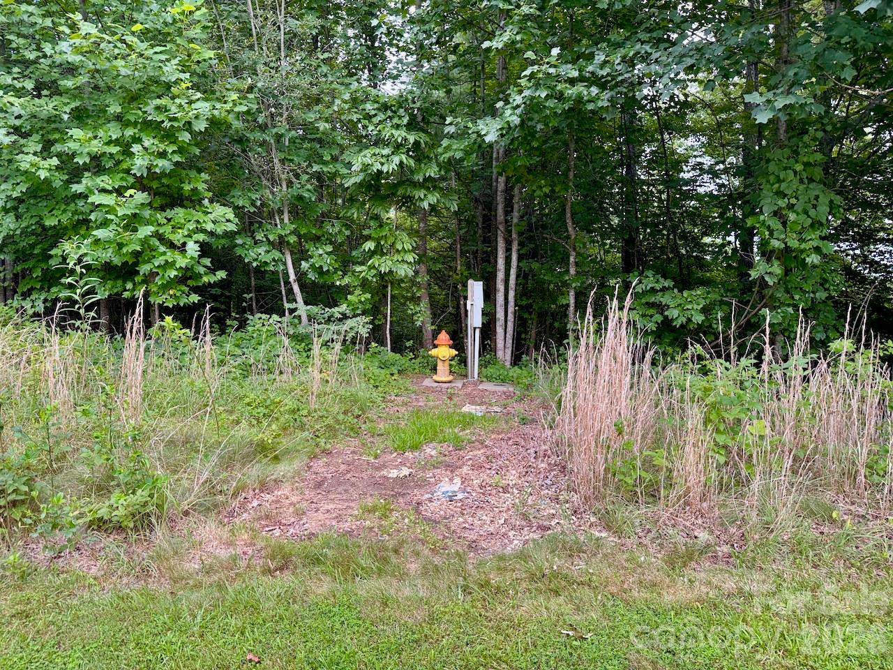 Underground utilities - 120 Ben Lippen School Road, Asheville