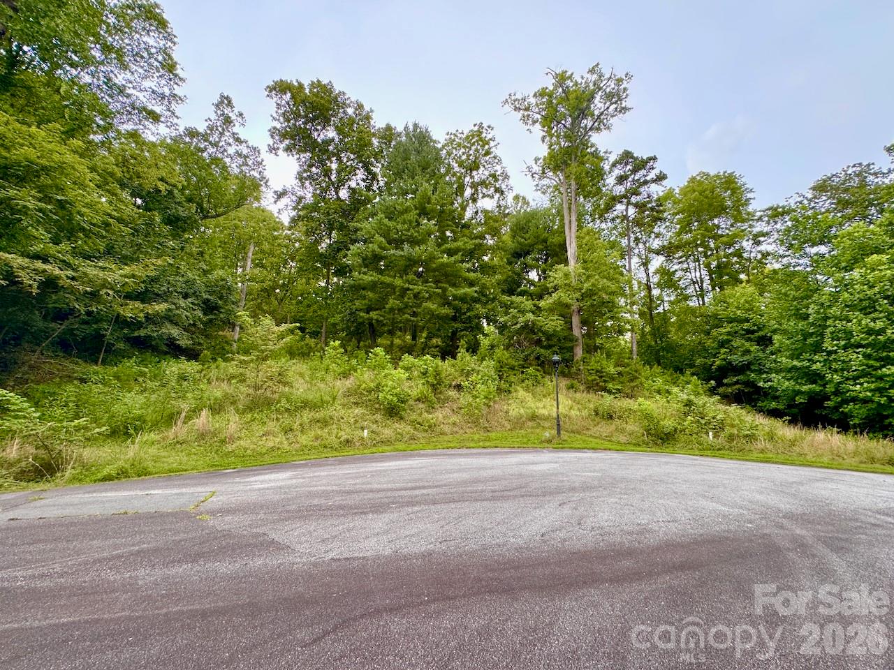 View from cul-de-sac - 120 Ben Lippen School Road, Asheville