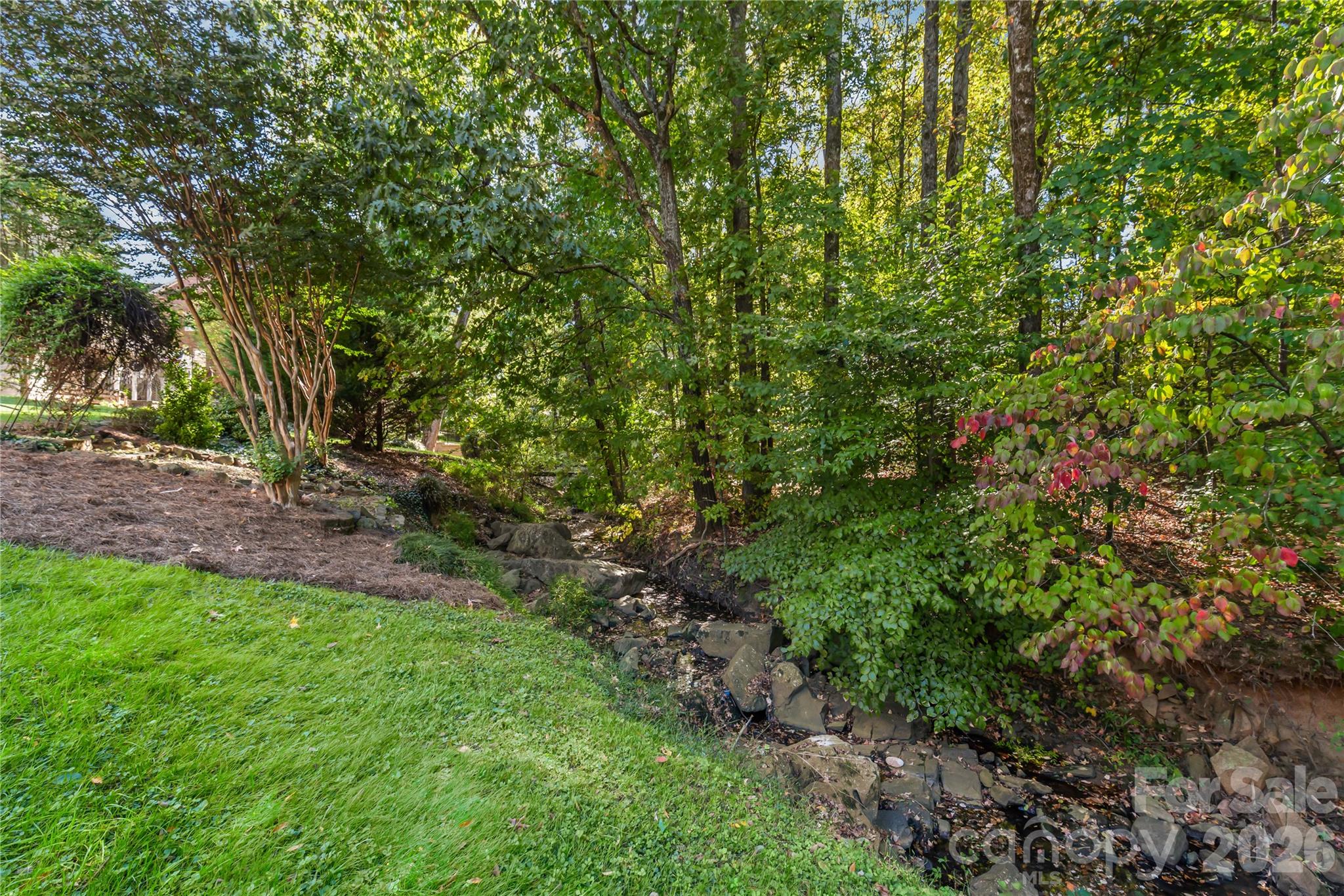 A natural hidden gem...tucked quietly along the rear boundary of the property lies a gentle, winding creek. - 11024 Stonepath Lane, Charlotte
