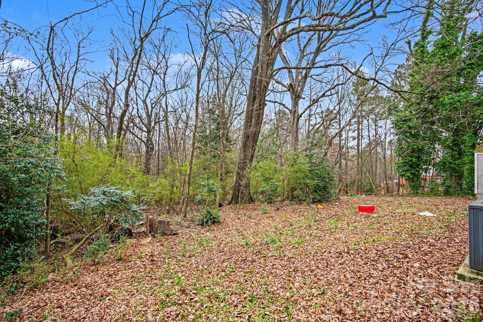 Single Family Residence at 115 McCain Street, Waxhaw, photo 17 of 19