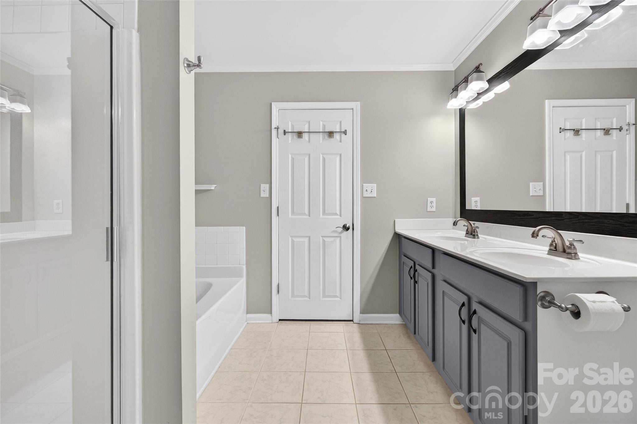 Primary Bathroom - 8331 Brickle Lane, Huntersville
