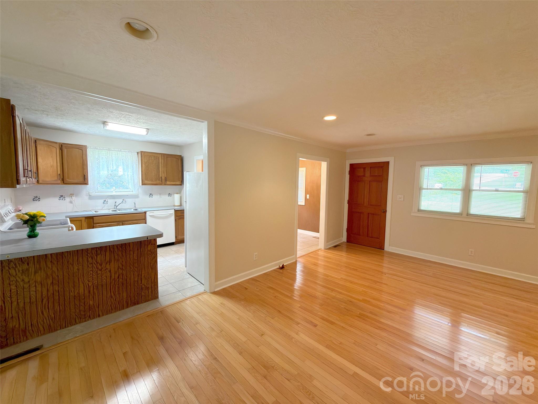 Living Room and Front Entrance. - 22 McMinn Road, Hendersonville
