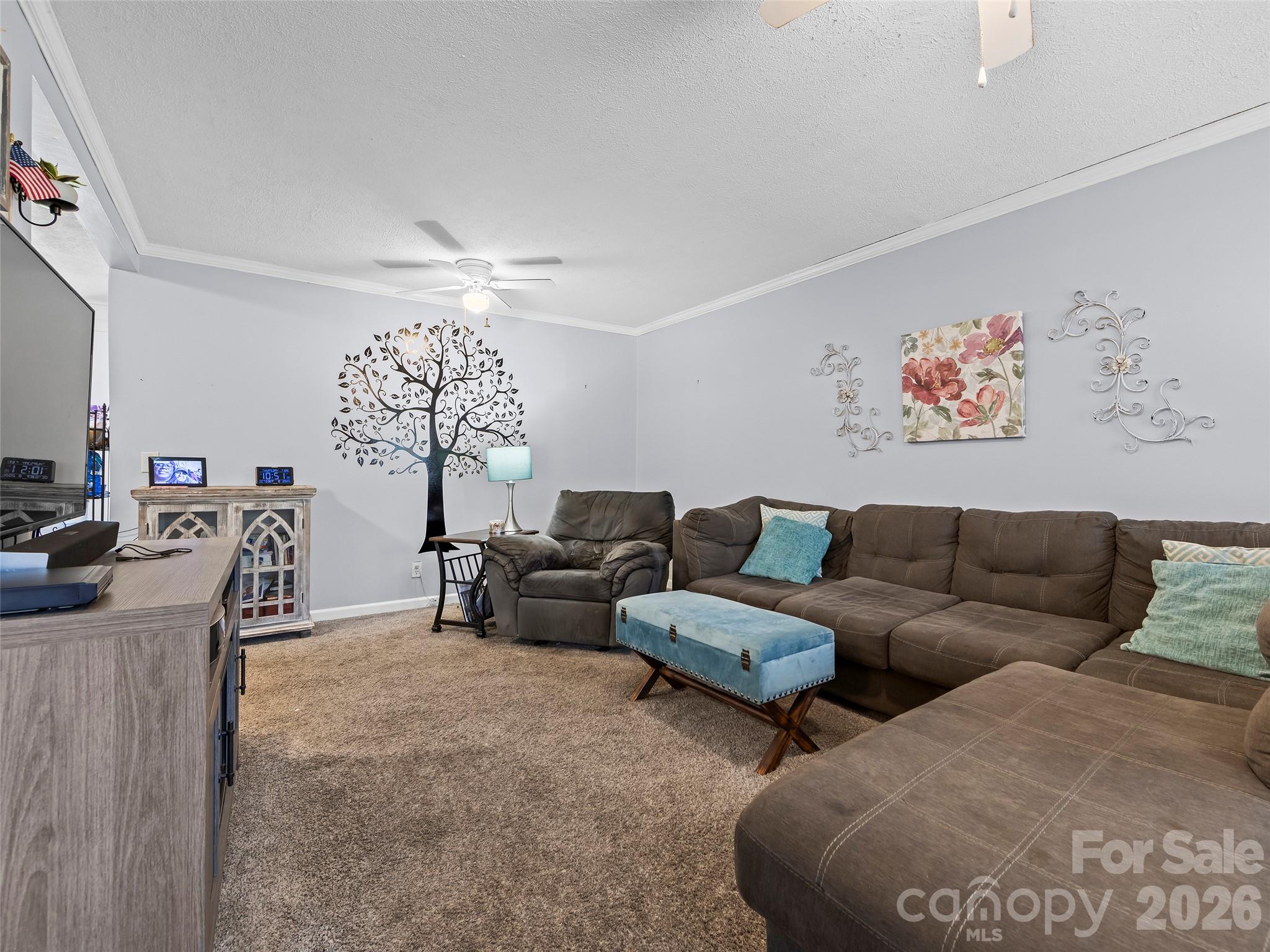 Single Family Residence at 31 Southwicke Drive, Arden, photo 5 of 31