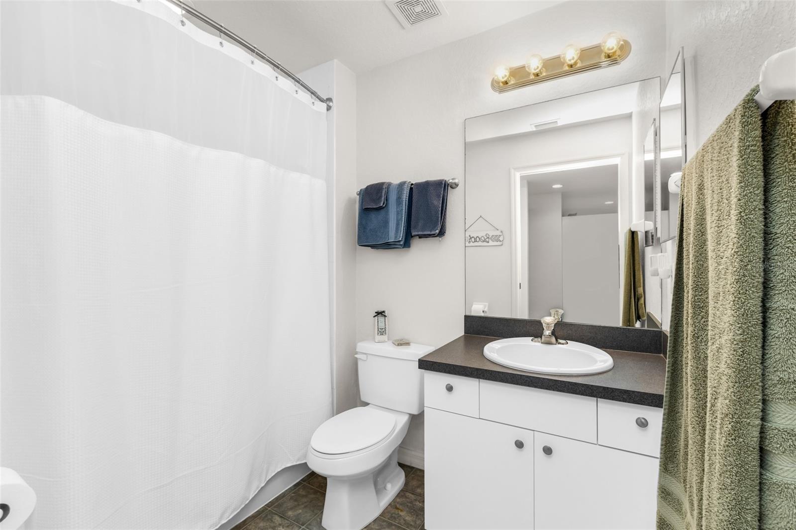 Guest Bath - 1479 SAN CRISTOBAL AVE #2202, PUNTA GORDA