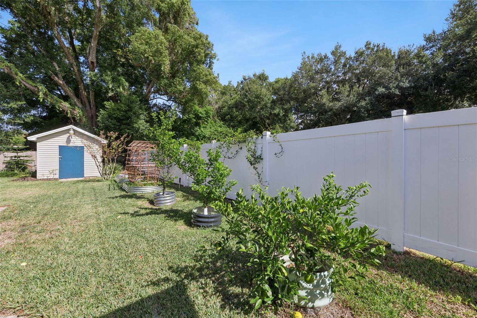 Lime, Lemon, Tangerine trees with a garden ready for your next crop. - 3115 HARGILL DR, ORLANDO