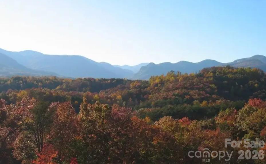 Lot at 000 Deer Jump Trail, Lake Lure, photo 5 of 5
