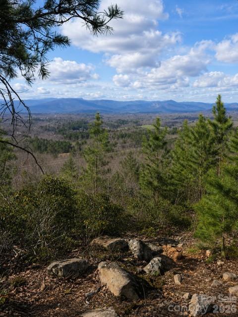 Acreage at 9999 Little Creek Drive, Nebo, photo 2 of 3