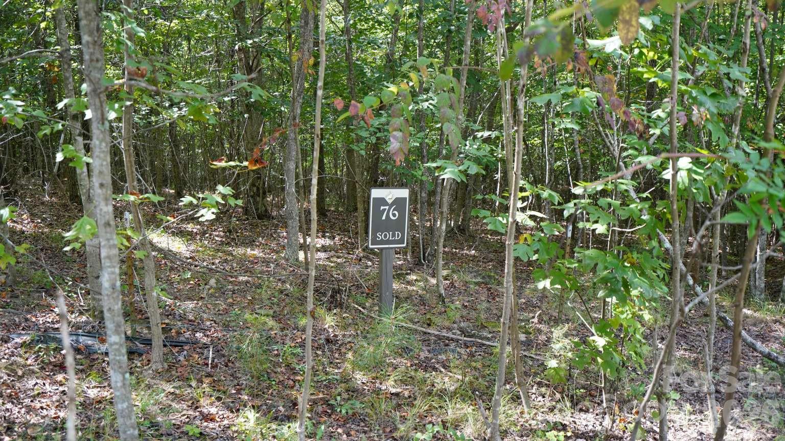 Lot at 00 Tayberry Drive, Nebo, photo 5 of 6