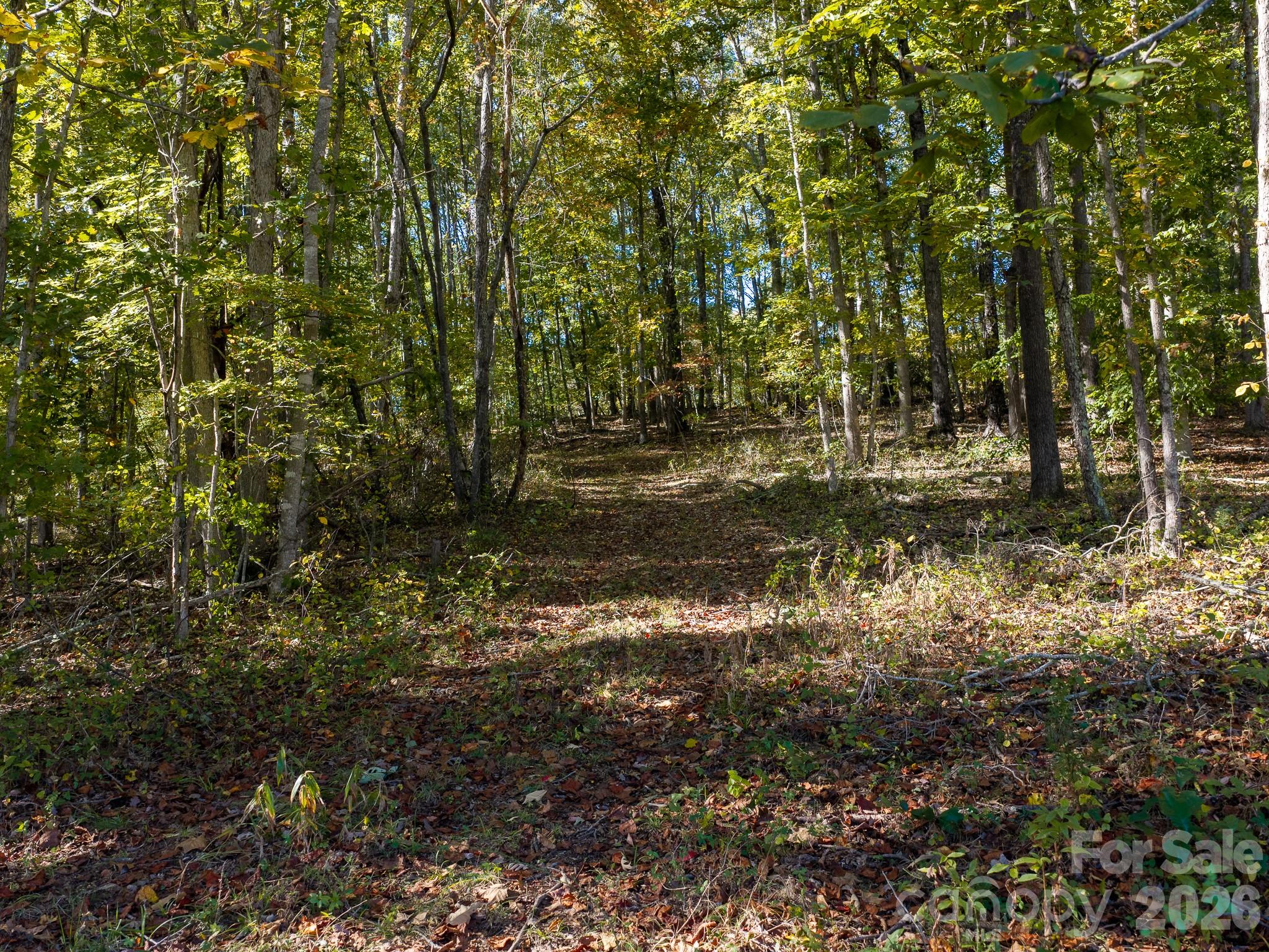 Acreage at 155 Anita Lane, Candler, photo 4 of 22
