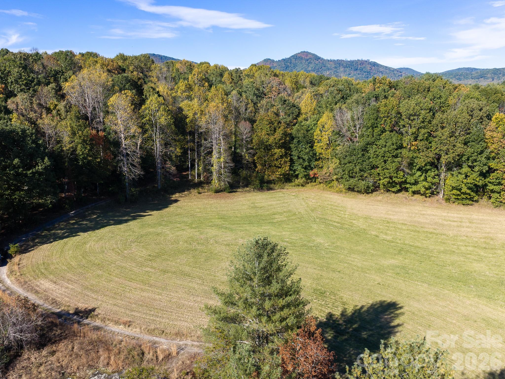 Acreage at 155 Anita Lane, Candler, photo 5 of 22