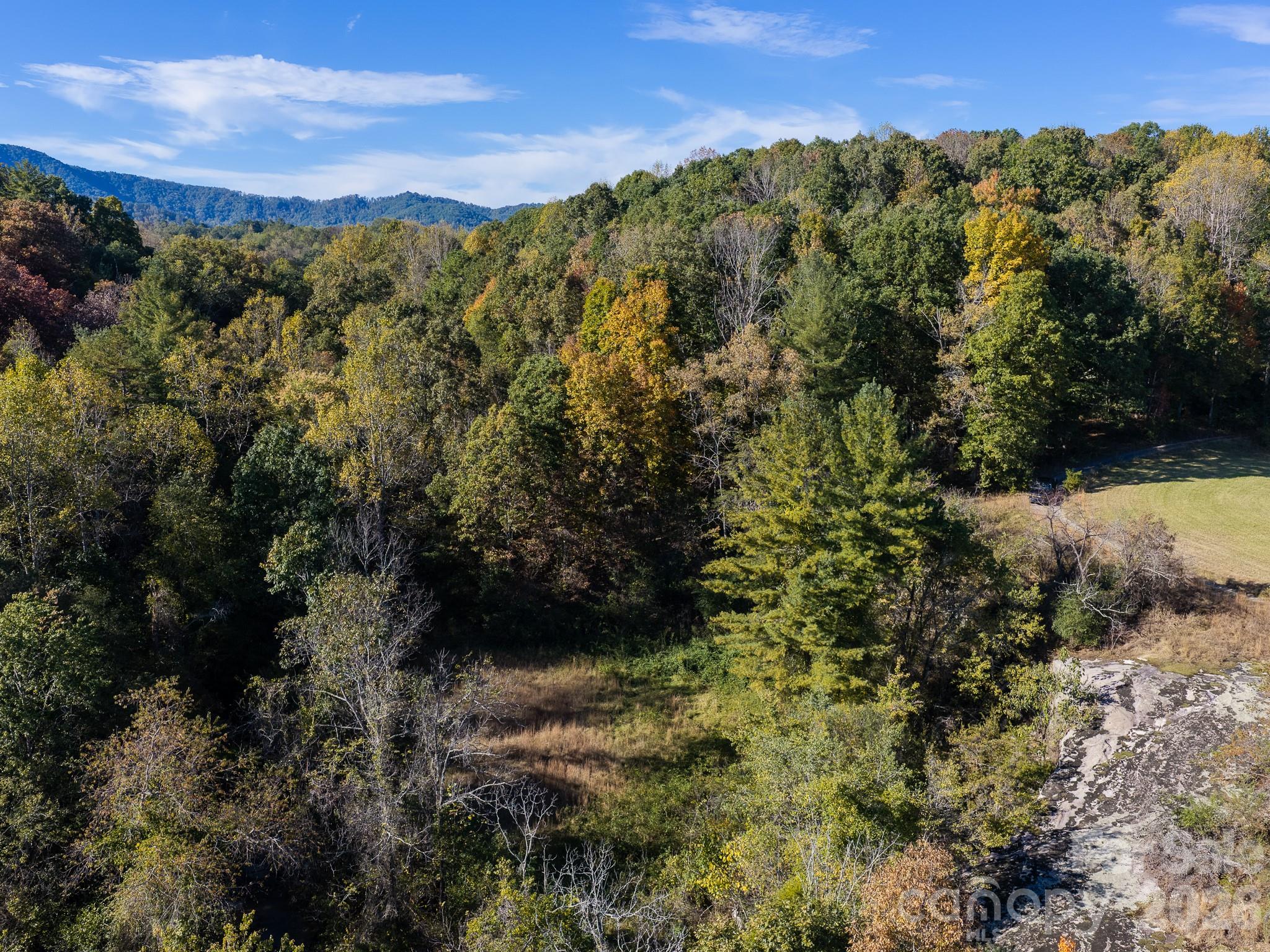Acreage at 155 Anita Lane, Candler, photo 6 of 22