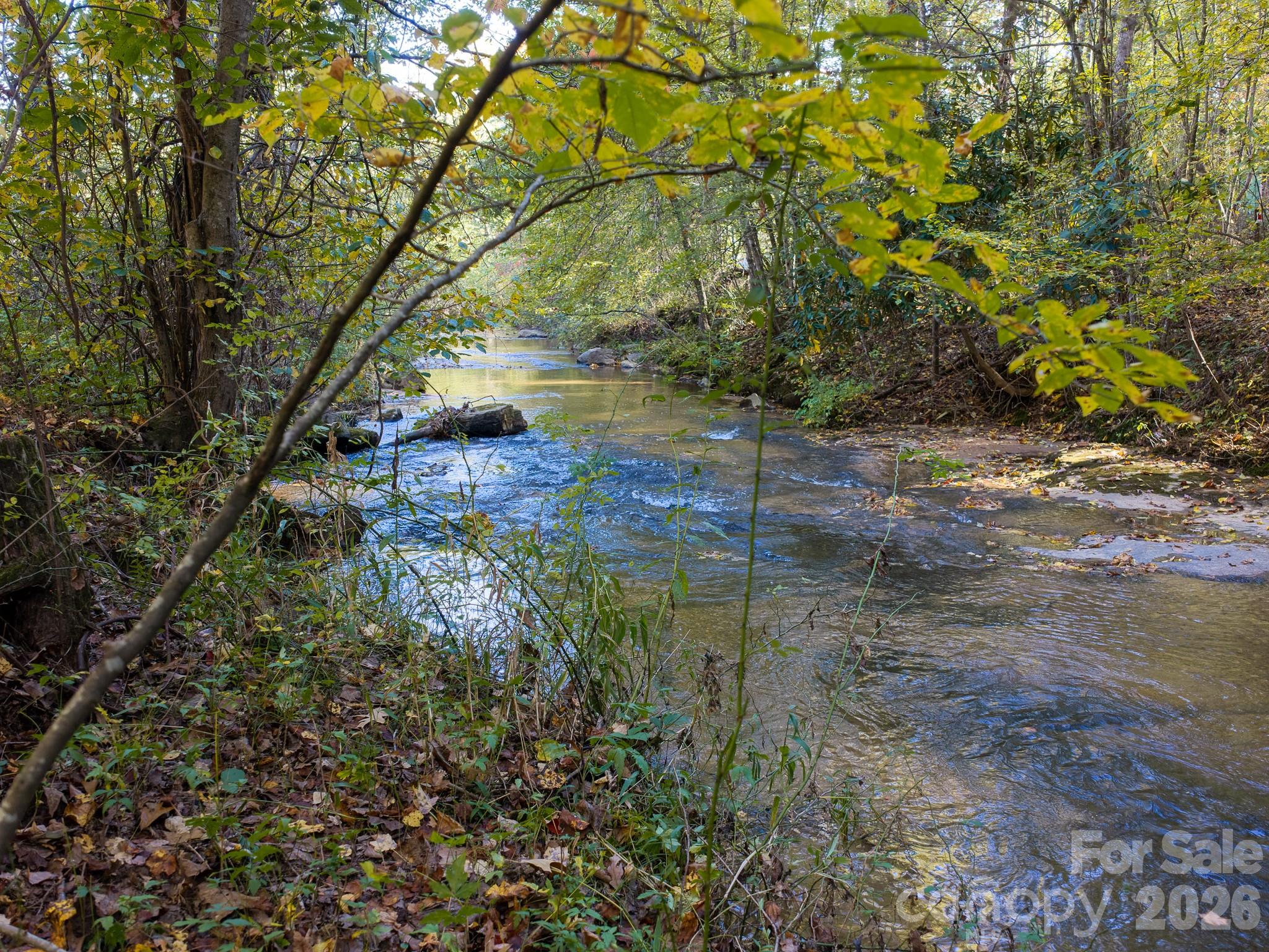 Acreage at 155 Anita Lane, Candler, photo 8 of 22