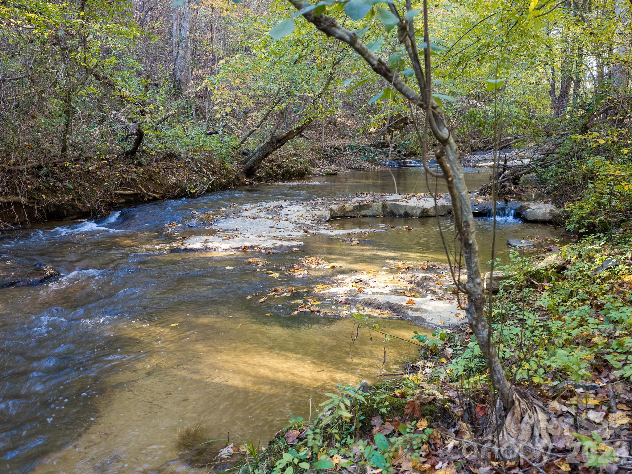 Acreage at 155 Anita Lane, Candler, photo 9 of 22