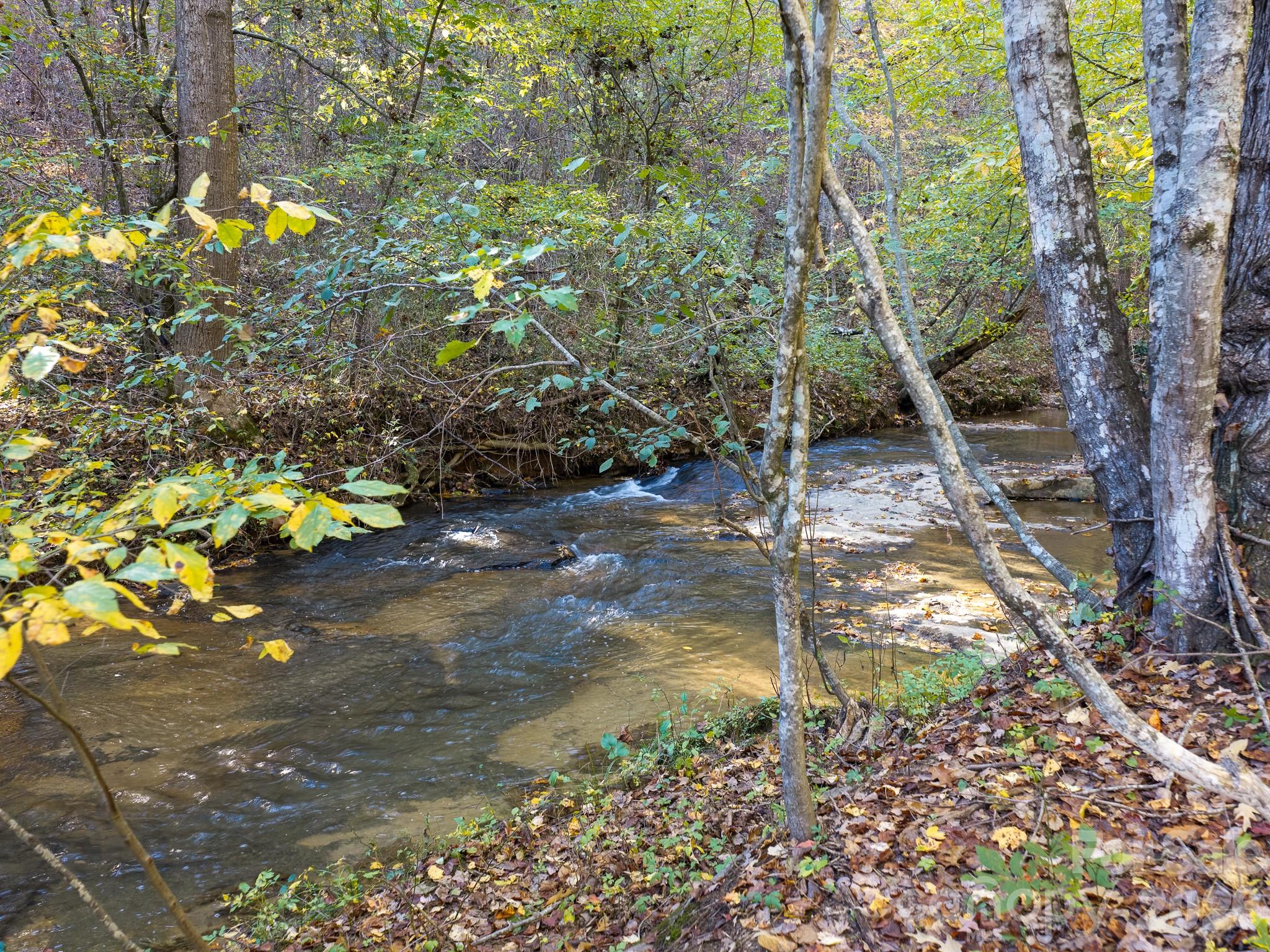 Acreage at 155 Anita Lane, Candler, photo 10 of 22