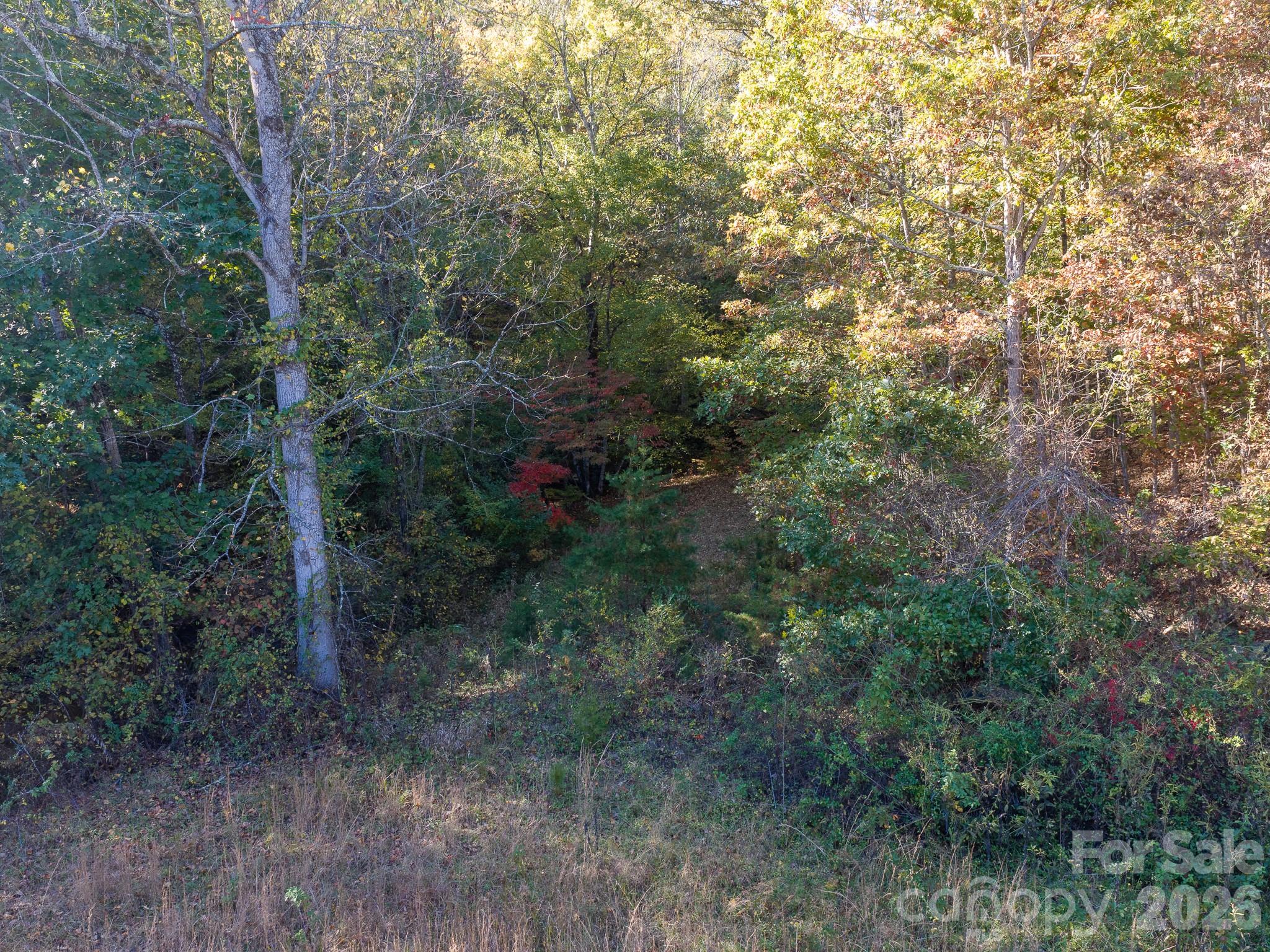Acreage at 155 Anita Lane, Candler, photo 11 of 22