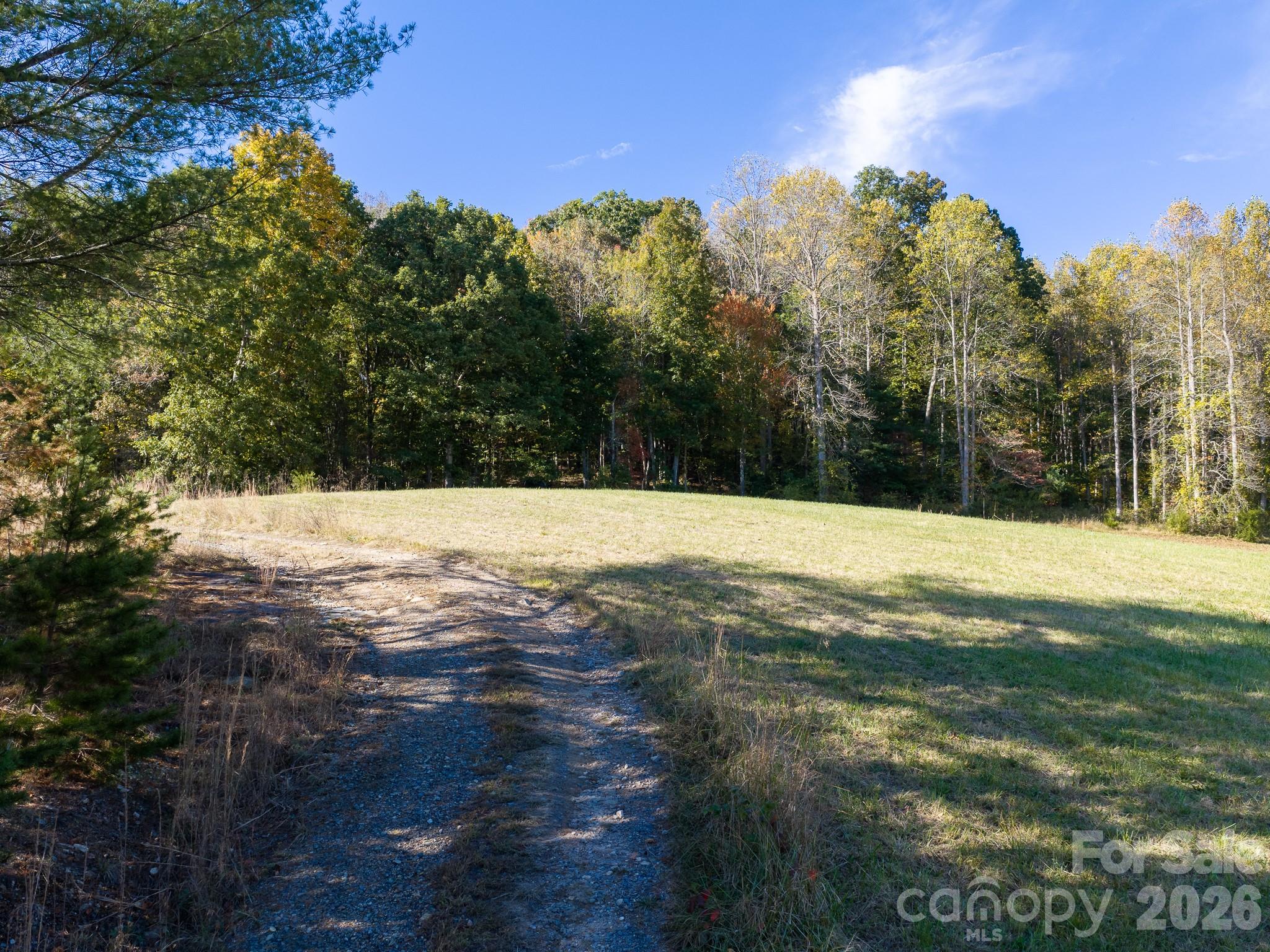 Acreage at 155 Anita Lane, Candler, photo 12 of 22