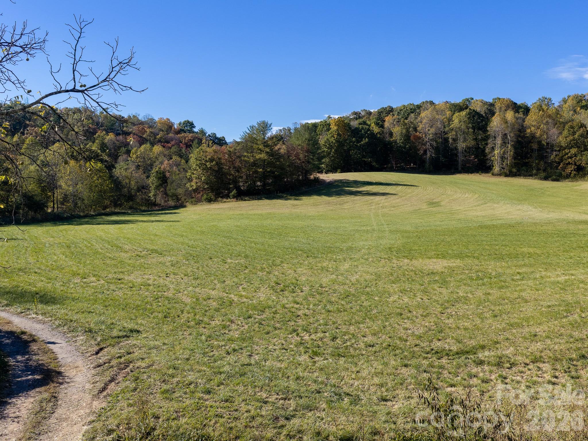 Acreage at 155 Anita Lane, Candler, photo 13 of 22