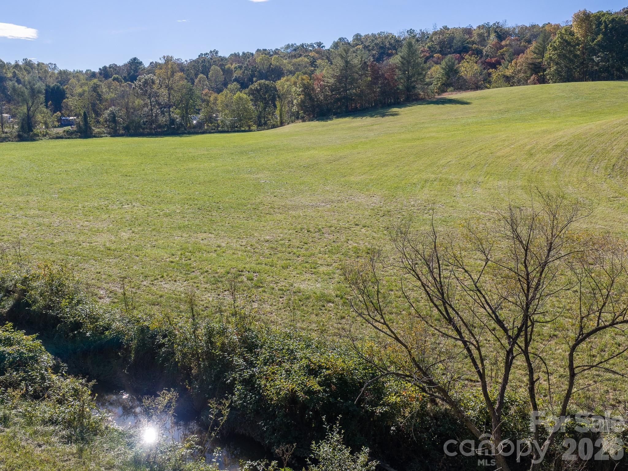 Acreage at 155 Anita Lane, Candler, photo 15 of 22