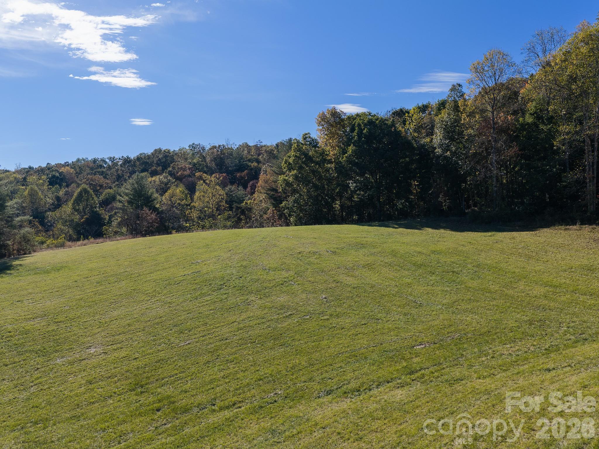 Acreage at 155 Anita Lane, Candler, photo 17 of 22