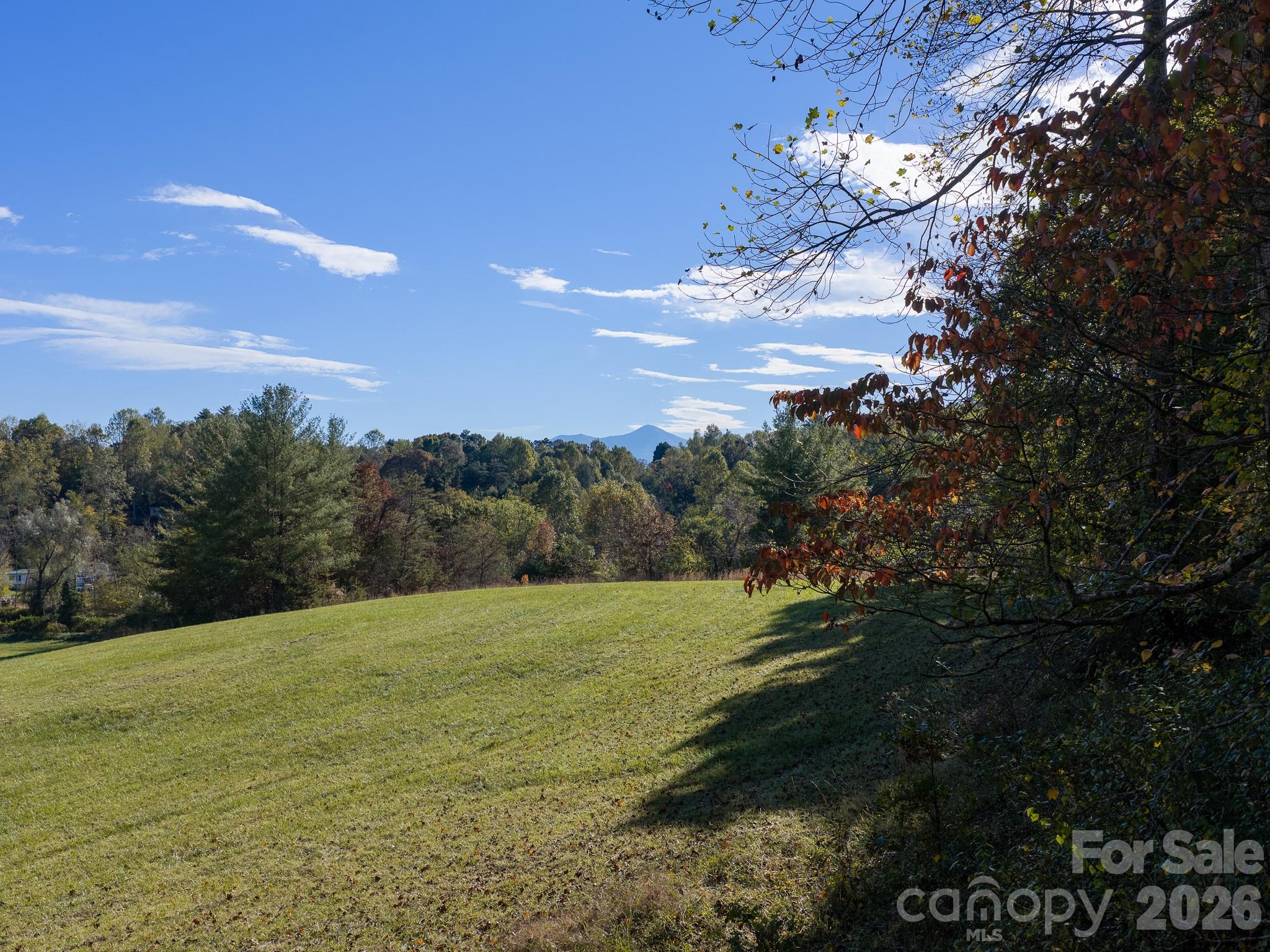 Acreage at 155 Anita Lane, Candler, photo 18 of 22