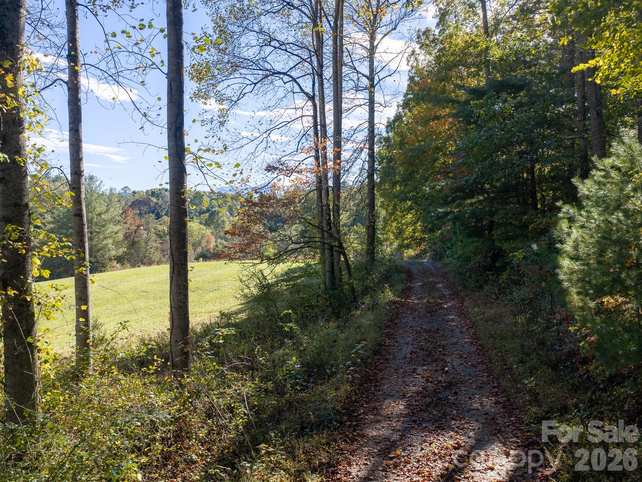 Acreage at 155 Anita Lane, Candler, photo 19 of 22