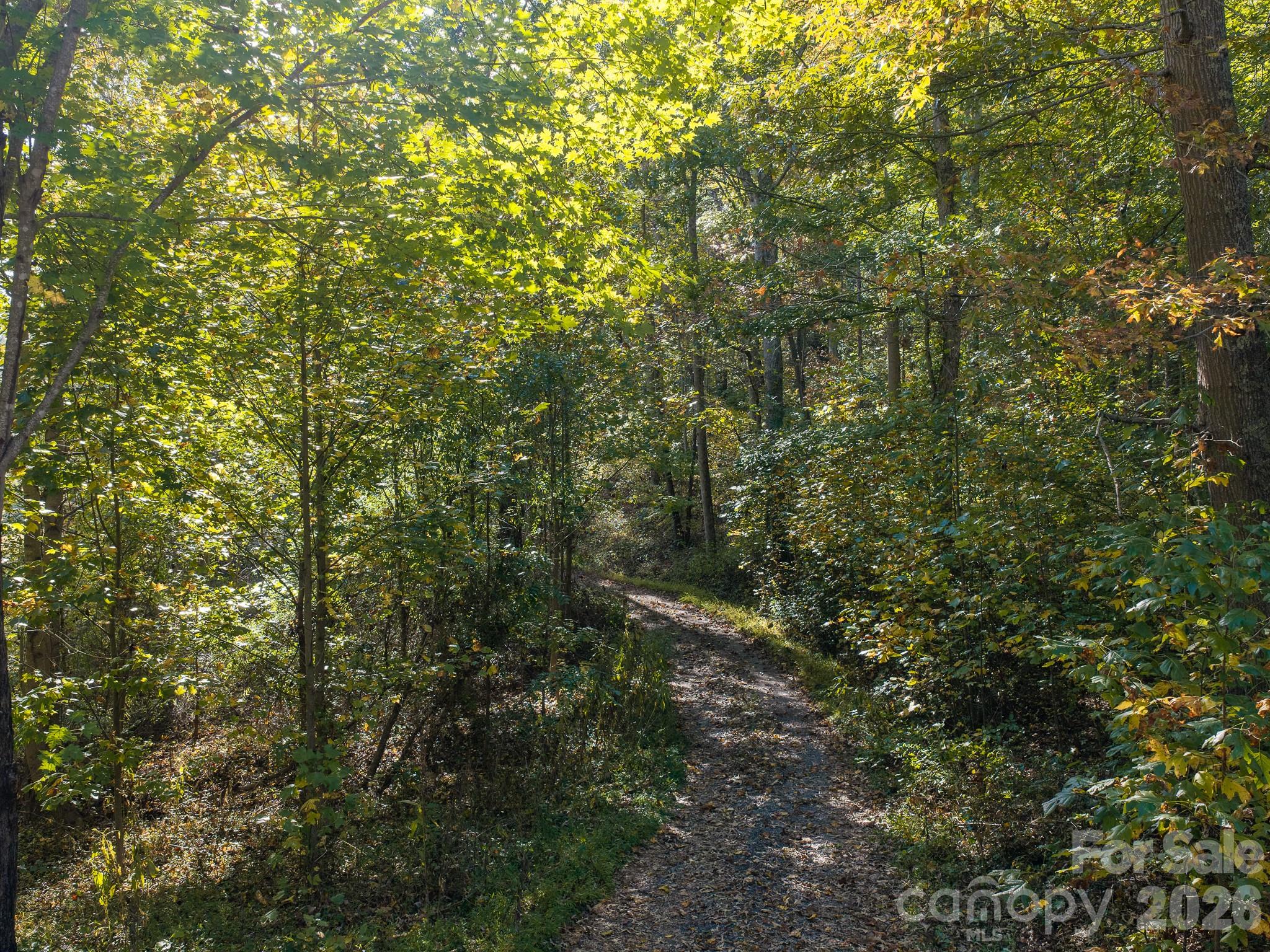 Acreage at 155 Anita Lane, Candler, photo 20 of 22