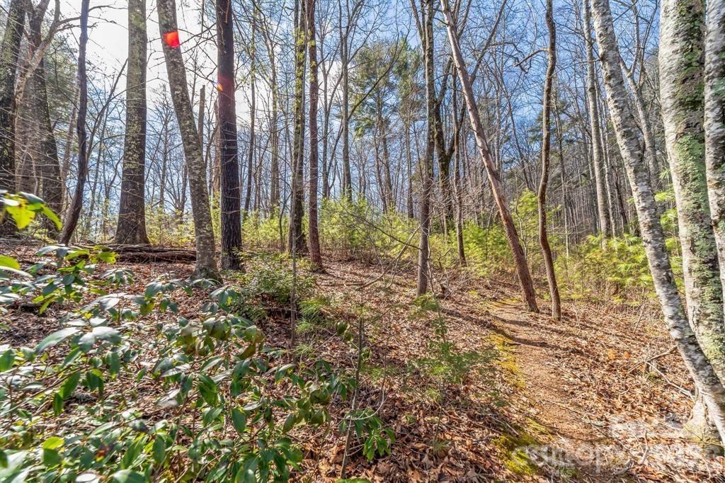 Lot at 99999 Mill Road, Asheville, photo 2 of 7