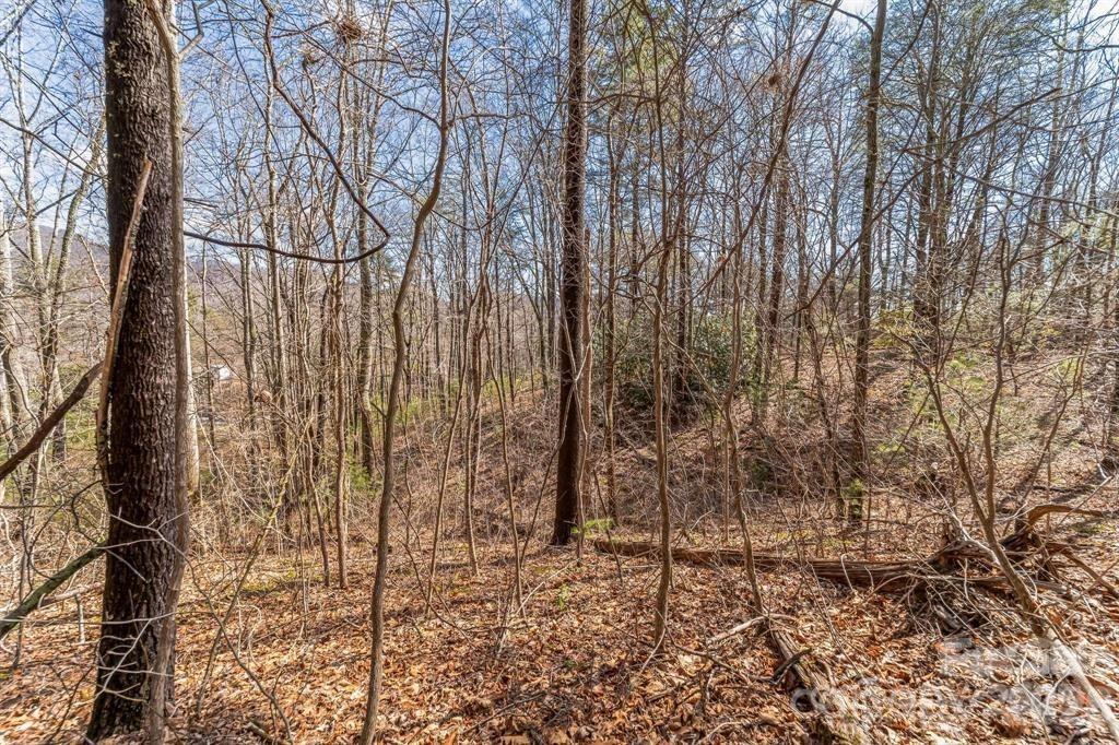 Lot at 99999 Mill Road, Asheville, photo 3 of 7