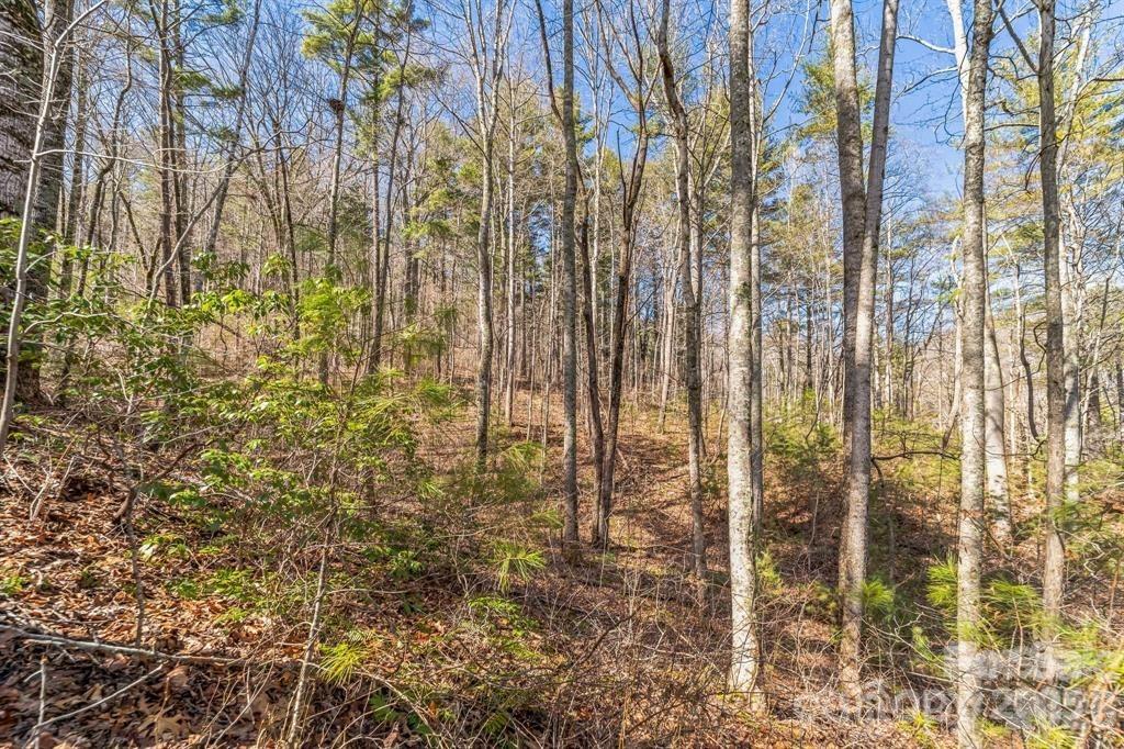 Lot at 99999 Mill Road, Asheville, photo 4 of 7