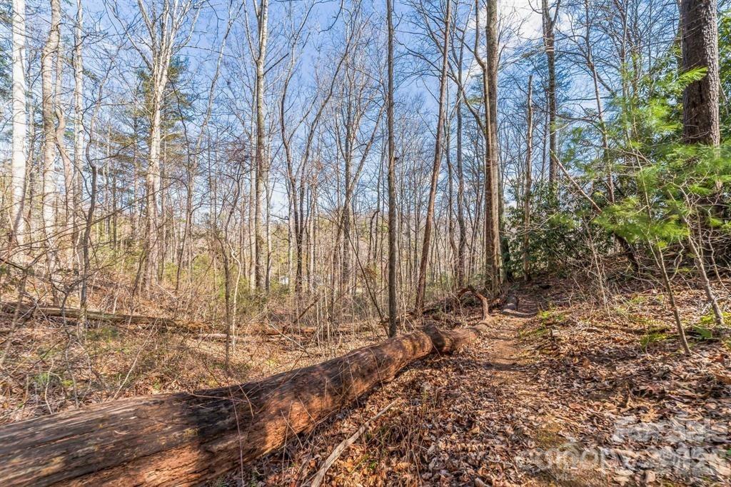 Lot at 99999 Mill Road, Asheville, photo 5 of 7