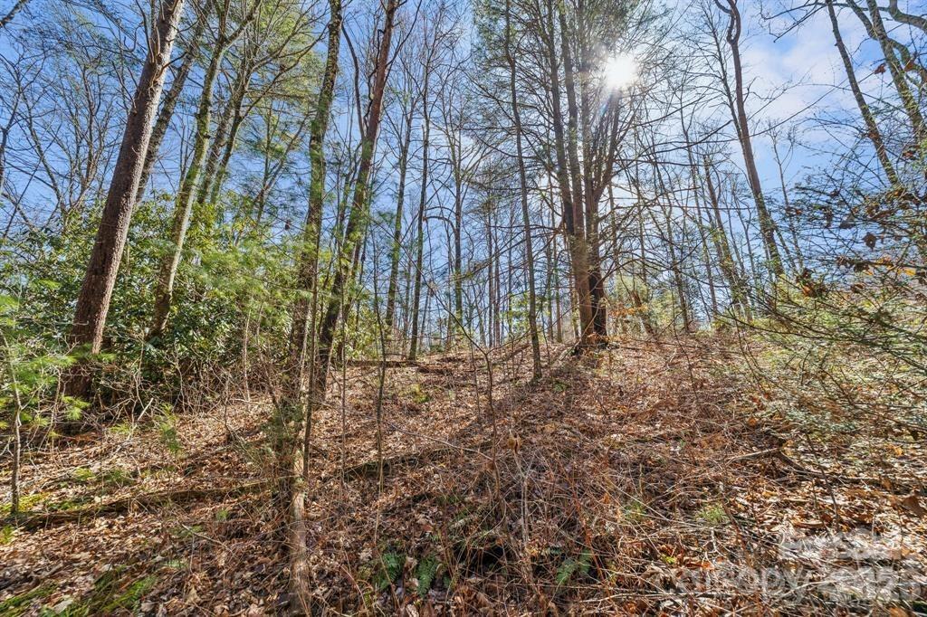 Lot at 99999 Mill Road, Asheville, photo 6 of 7