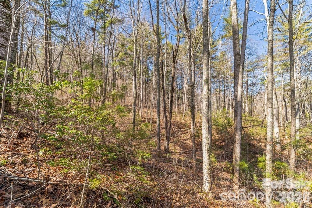 Acreage at 9999 Little Creek Drive, Nebo