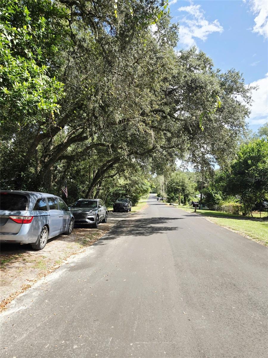 Single Family Residence at 205 W SIMON AVE, APOPKA, photo 25 of 53