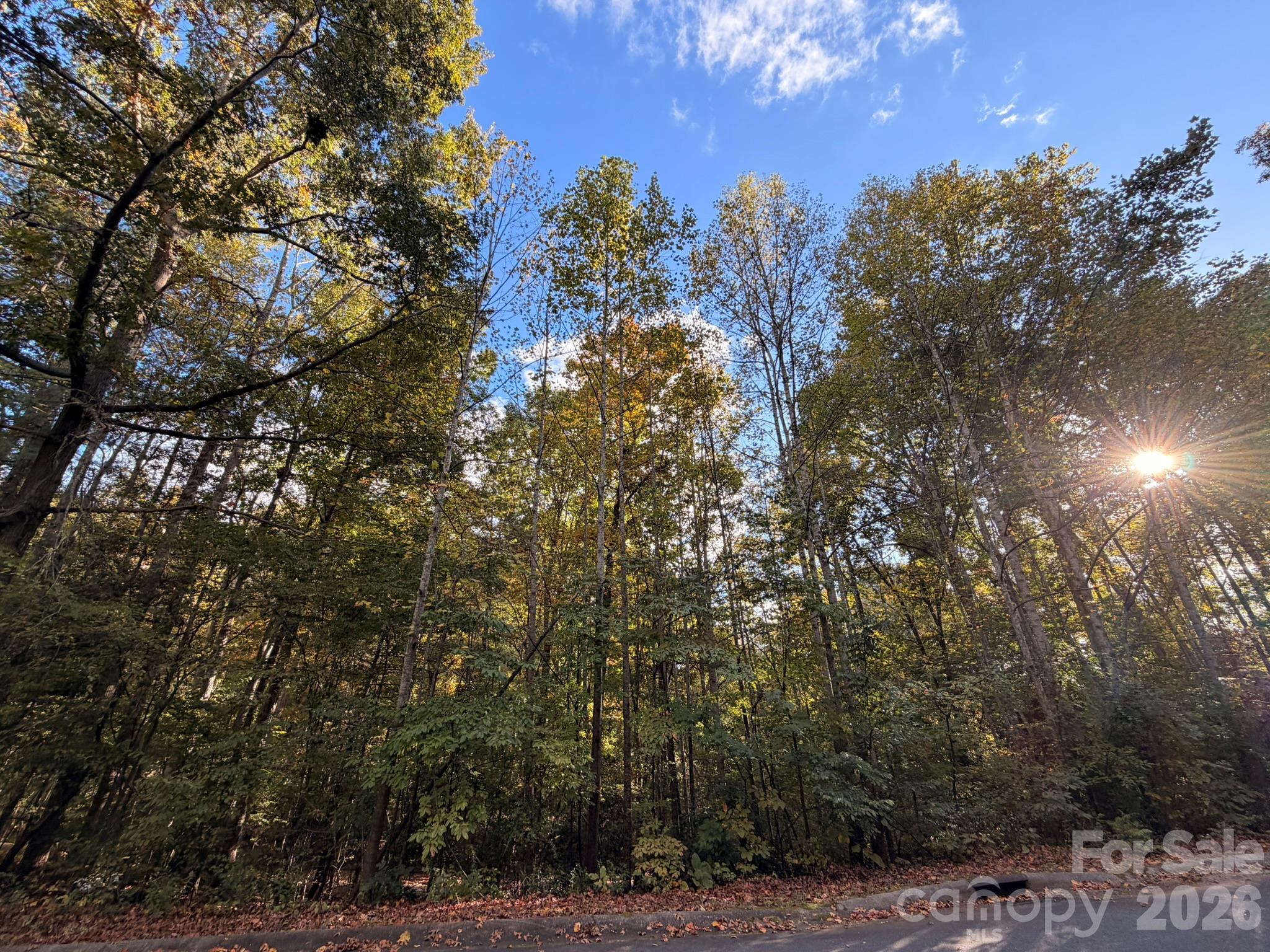 Lot at 00 Charlotte Ann Ln Charlotte Ann Lane, Hickory, photo 2 of 6