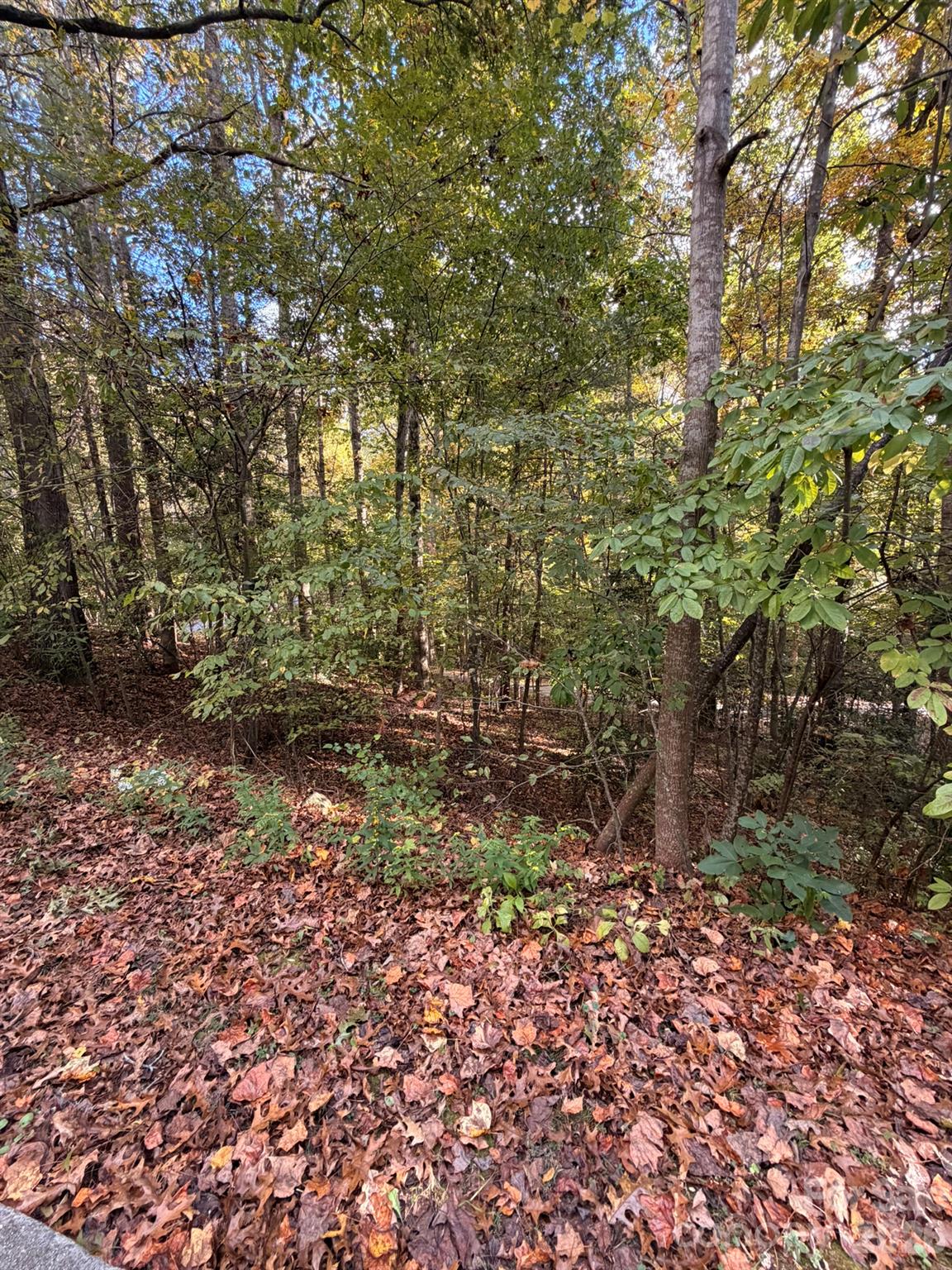 Lot at 00 Charlotte Ann Ln Charlotte Ann Lane, Hickory, photo 3 of 6