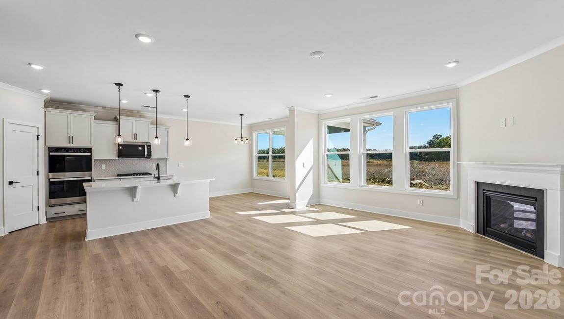 Single Family Residence at 1040 Tundra Swan Drive, Indian Trail, photo 12 of 78