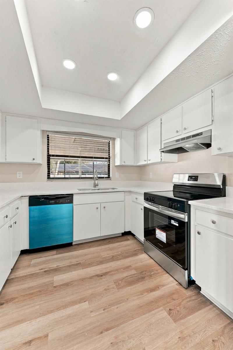 Single Family Residence at 15805 COUNTRY LAKE DR, TAMPA, photo 20 of 55
